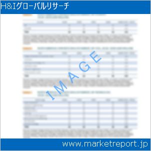 市場と産業調査レポートのイメージ